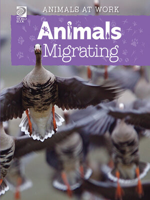 cover image of Animals Migrating